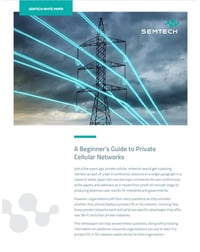ES-WP-A Beginners Guide to Private Cellular Networks-Oct2024-1-Thumb 475x600