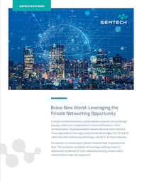 WP-Brave New World Leveraging Private Networking-Thumb_475x600